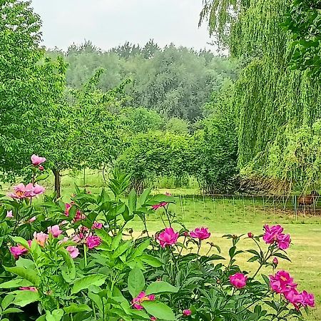 Les Chambres Du Vert Galant Rez De Jardin Verlinghem Exterior photo